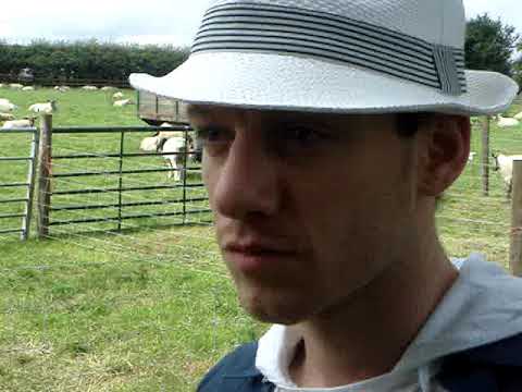 Sheep in Yorkshire. And a couple of prats